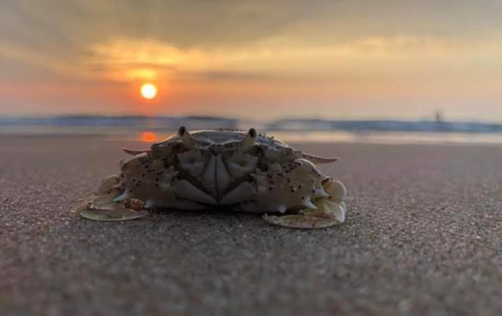 Suoi Nuoc Resort Mui Ne Zewnętrze zdjęcie
